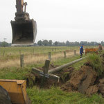 Grube für Storchenmast (5.10.2013)