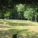 Le terrain de volley-bal