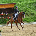 Sierra Ehingen 2017 - Foto: Herbert Mayr