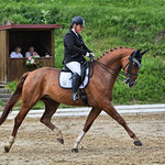 Franzel Ehingen 2017 - Foto: Herbert Mayr