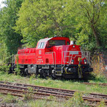 261 013-7 hat Wagons für die Elbewerft Roßlau in das Übergabegleis geschoben - am 11.05.2011