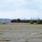 64 007 ist die Schiebelok des den DMV Sonderzug – bei Gömnigk am 12.10.1985 