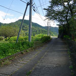 道なりに