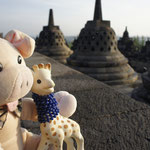 Lorsque Sophie rencontre William à Borobudur