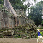 Sophie Croft dans les temples d'Angkor (Cambodge)