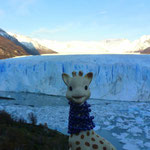 Devant le Glacier Perito Moreno