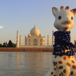 visite du Taj Mahal (Inde)