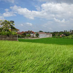 Land for sale in Canggu, Bali.