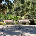 Parc de la Ciutadella