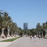 Passeig de Lluis Companys