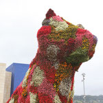 Bilbao - Guggenheim
