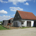 Stall