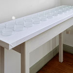 WAS KUNST BRAUCHT  Installation  24 Petrischalen  Holztisch 170x40x90cm