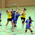 Damenhandball Union Korneuburg gegen UHC Landhaus /WAT21 