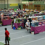 Internationale Katzenausstellung in Stockerau 2013