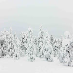 Finnisch Lappland