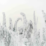 Finnisch Lappland
