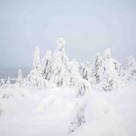 Finnisch Lappland
