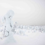 Finnisch Lappland