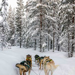 Finnisch Lappland