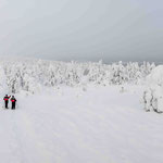 Finnisch Lappland