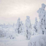 Finnisch Lappland