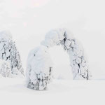 Finnisch Lappland