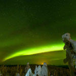 Finnisch Lappland