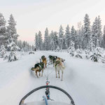 Finnisch Lappland