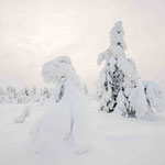 Finnisch Lappland