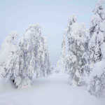 Finnisch Lappland