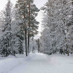 Finnisch Lappland
