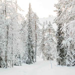 Finnisch Lappland
