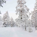 Finnisch Lappland