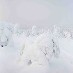 Finnisch Lappland