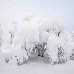 Finnisch Lappland