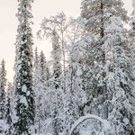 Finnisch Lappland