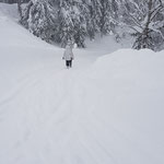 Rückweg im verschneitem ST. Martin
