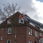 Die DLK ist eingetroffen, die Sägearbeiten beginnen © Freiwillige Feuerwehr Cuxhaven-Duhnen