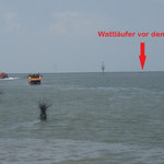 Vor dem Priel an der Rettungsbake 5 / © Freiwillige Feuerwehr Cuxhaven-Duhnen