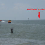 Vor dem Priel an der Rettungsbake 5 / © Freiwillige Feuerwehr Cuxhaven-Duhnen