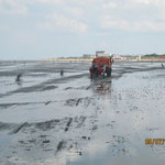 Unimog NHC © Freiwillige Feuerwehr Cuxhaven-Duhnen