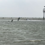 Wasserstand im Priel noch über einen Meter © Freiwillige Feuerwehr Cuxhaven-Duhnen