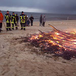 © Freiwillige Feuerwehr Cuxhaven-Duhnen