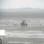 Boot abgesetzt, der Trecker kommt zurück © Freiwillige Feuerwehr Cuxhaven-Duhnen