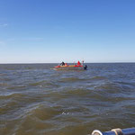  Noch muss das Pferd  in der starken Strömung schwimmen © FF.Cuxhaven-Duhnen