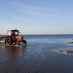 Rückkehr zum Strand im Hintergrund Segelschulschiff "Mir" © FF.Cuxhaven-Duhnen