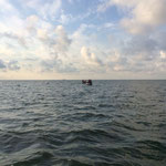 Die Rettungsboote kommen nach erfolgreichem Einsatz zurück / © Freiwillige Feuerwehr Cuxhaven-Duhnen