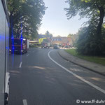 In Brockeswalde