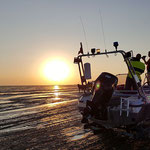 Ausschau nach dem entlaufenen Pferd © Freiwillige Feuerwehr Cuxhaven-Duhnen